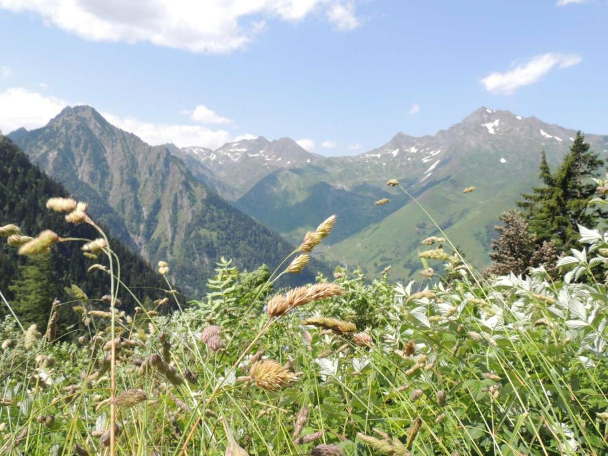 Studio Pour 4 Personnes Au Centre De Cauterets, Proche Telecabines Et Thermes - Fr-1-234-269 Luaran gambar